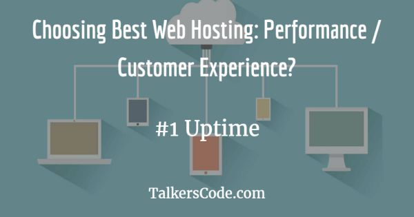 Choosing The Best Web Hosting: Performance Or Customer Experience?