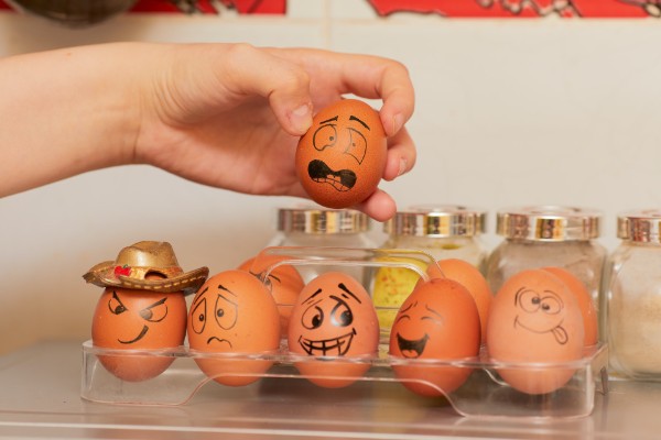 The Importance of Emotional Intelligence in Student Success
