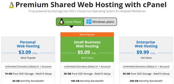 Accuwebhosting Review