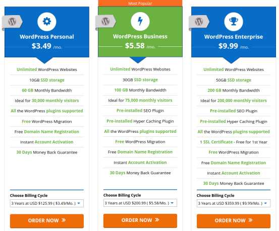 Accuwebhosting Review