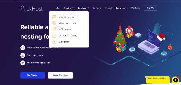 AlexHost Review