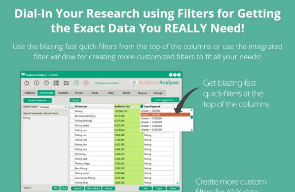 Audience Analyzer Tool