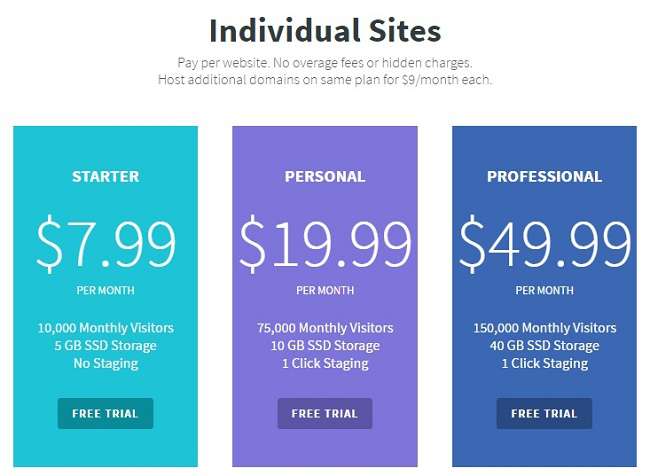 Nestify Review - Fast And Reliable WordPress Hosting