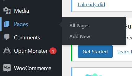 Display Blog Posts On Page WordPress Plugin