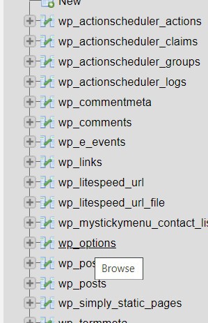 Get Home URL WordPress
