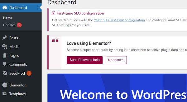 Get Page Name In WordPress