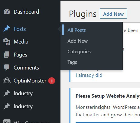 How To Change Author Name In WordPress