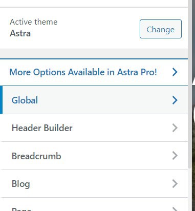How To Change Font On WordPress
