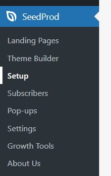 How To Change WordPress Theme On Live Site