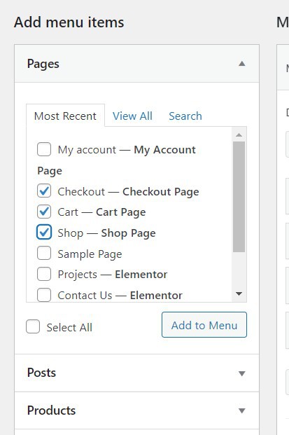 How To Create Custom Menu In WordPress