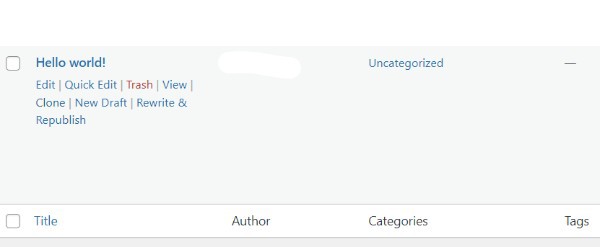 How To Duplicate A Page On WordPress
