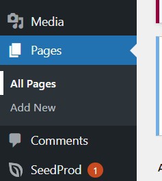 How To Edit A Website On WordPress