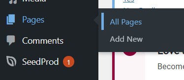 How To Edit Blog Page In WordPress