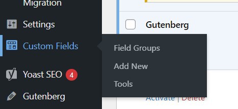 How To Get Custom Field Value In WordPress