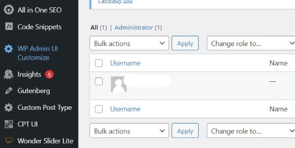 How To Show Author Name In WordPress Post