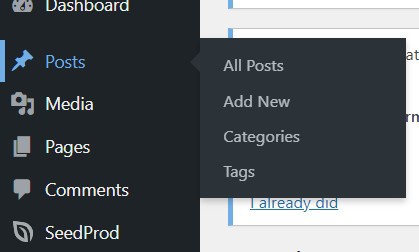 How To Use Shortcode In WordPress