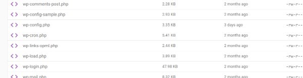 Update Query In WordPress