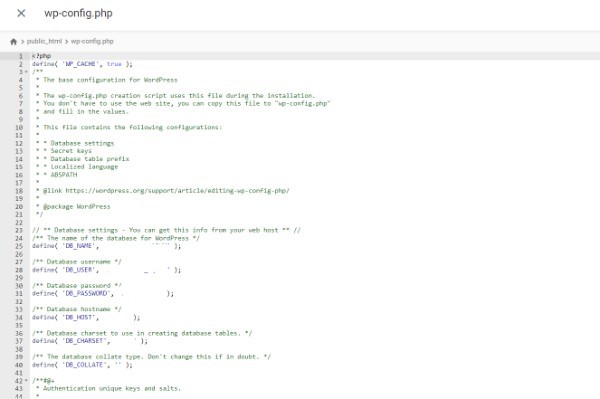 Update Query In WordPress