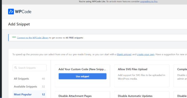 WordPress Query Custom Post Type