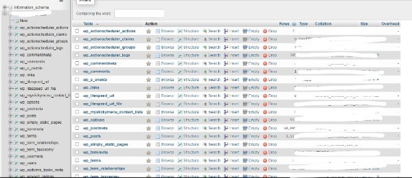 WordPress Query Database And Display Results