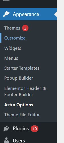 WordPress Themes Free Download Professional
