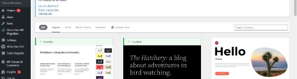 WordPress Themes Free Download Professional