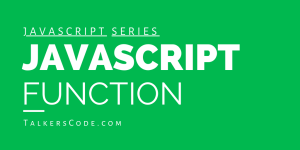 JavaScript Function